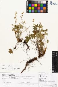 SW_BNB_s3070-01761_IMG-0000000001