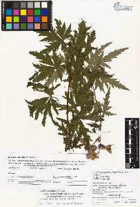 SW_BNB_s3070-01763_IMG-0000000001