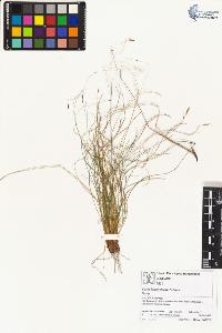 SW_BNB_s3070-01766_IMG-0000000001