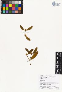 SW_BNB_s3070-01767_IMG-0000000001