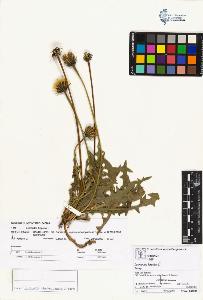 SW_BNB_s3070-01769_IMG-0000000001