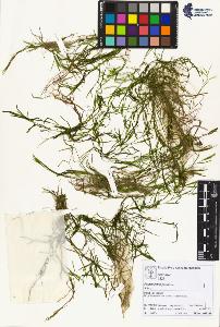 SW_BNB_s3070-01770_IMG-0000000001