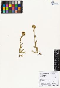 SW_BNB_s3070-01771_IMG-0000000001