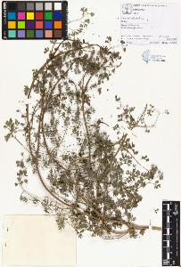 SW_BNB_s3070-01773_IMG-0000000001