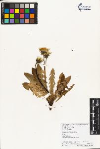 SW_BNB_s3070-01775_IMG-0000000001