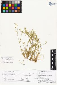 SW_BNB_s3070-01776_IMG-0000000001