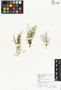 SW_BNB_s3070-01786_IMG-0000000001