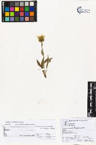 SW_BNB_s3070-01787_IMG-0000000001