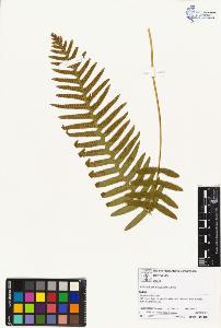 SW_BNB_s3070-01789_IMG-0000000001
