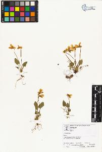 SW_BNB_s3070-01791_IMG-0000000001