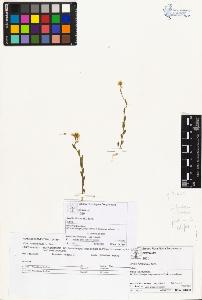 SW_BNB_s3070-01794_IMG-0000000001