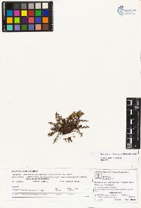 SW_BNB_s3070-01797_IMG-0000000001