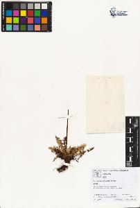 SW_BNB_s3070-01805_IMG-0000000001