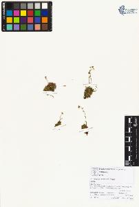 SW_BNB_s3070-01806_IMG-0000000001