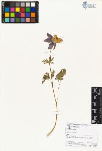 SW_BNB_s3070-01807_IMG-0000000001