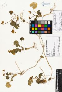 SW_BNB_s3070-01813_IMG-0000000001