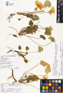 SW_BNB_s3070-01815_IMG-0000000001