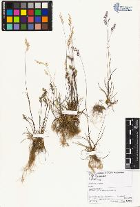 SW_BNB_s3070-01819_IMG-0000000001