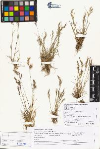 SW_BNB_s3070-01820_IMG-0000000001