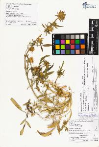 SW_BNB_s3070-01826_IMG-0000000001