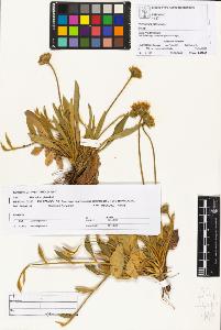 SW_BNB_s3070-01827_IMG-0000000001
