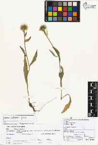 SW_BNB_s3070-01831_IMG-0000000001