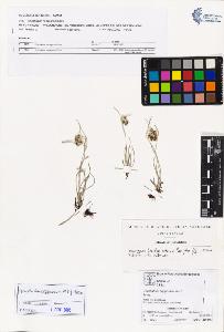 SW_BNB_s3070-01832_IMG-0000000001