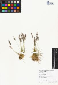 SW_BNB_s3070-01833_IMG-0000000001