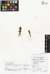 SW_BNB_s3070-01834_IMG-0000000001
