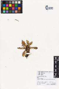 SW_BNB_s3070-01836_IMG-0000000001