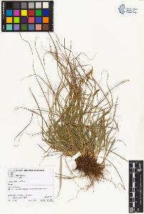 SW_BNB_s3070-01837_IMG-0000000001