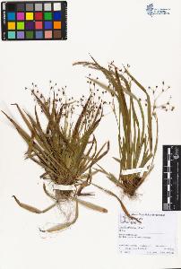 SW_BNB_s3070-01839_IMG-0000000001