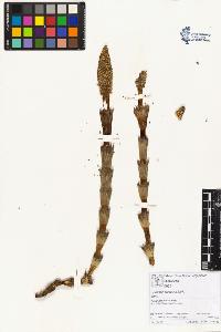 SW_BNB_s3070-01842_IMG-0000000001