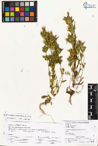 SW_BNB_s3070-01848_IMG-0000000001