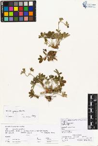 SW_BNB_s3070-01849_IMG-0000000001