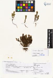 SW_BNB_s3070-01851_IMG-0000000001