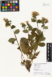 SW_BNB_s3070-01853_IMG-0000000001