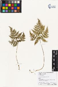 SW_BNB_s3070-01854_IMG-0000000001