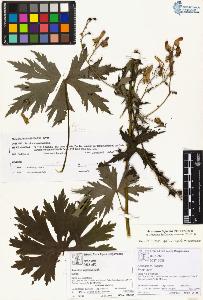 SW_BNB_s3070-01857_IMG-0000000001