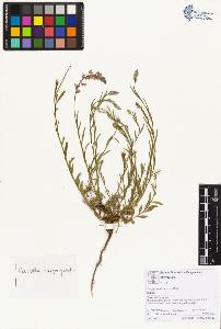 SW_BNB_s3070-01858_IMG-0000000001