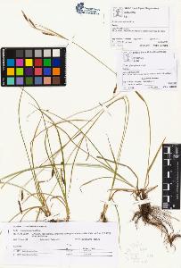 SW_BNB_s3070-01859_IMG-0000000001