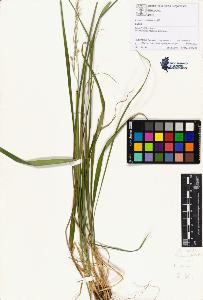 SW_BNB_s3070-01861_IMG-0000000001