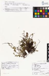 SW_BNB_s3070-01862_IMG-0000000001