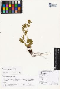 SW_BNB_s3070-01863_IMG-0000000001