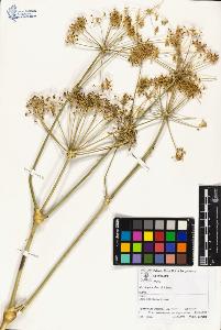 SW_BNB_s3070-01864_IMG-0000000001