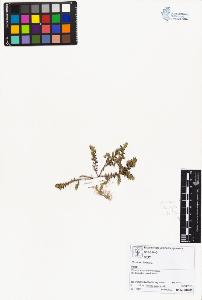 SW_BNB_s3070-01865_IMG-0000000001