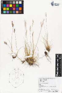 SW_BNB_s3070-01866_IMG-0000000001