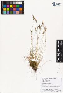 SW_BNB_s3070-01869_IMG-0000000001