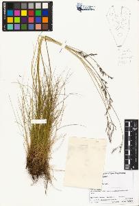 SW_BNB_s3070-01870_IMG-0000000001
