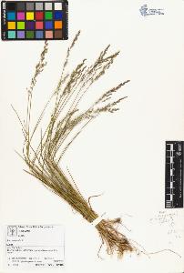 SW_BNB_s3070-01871_IMG-0000000001